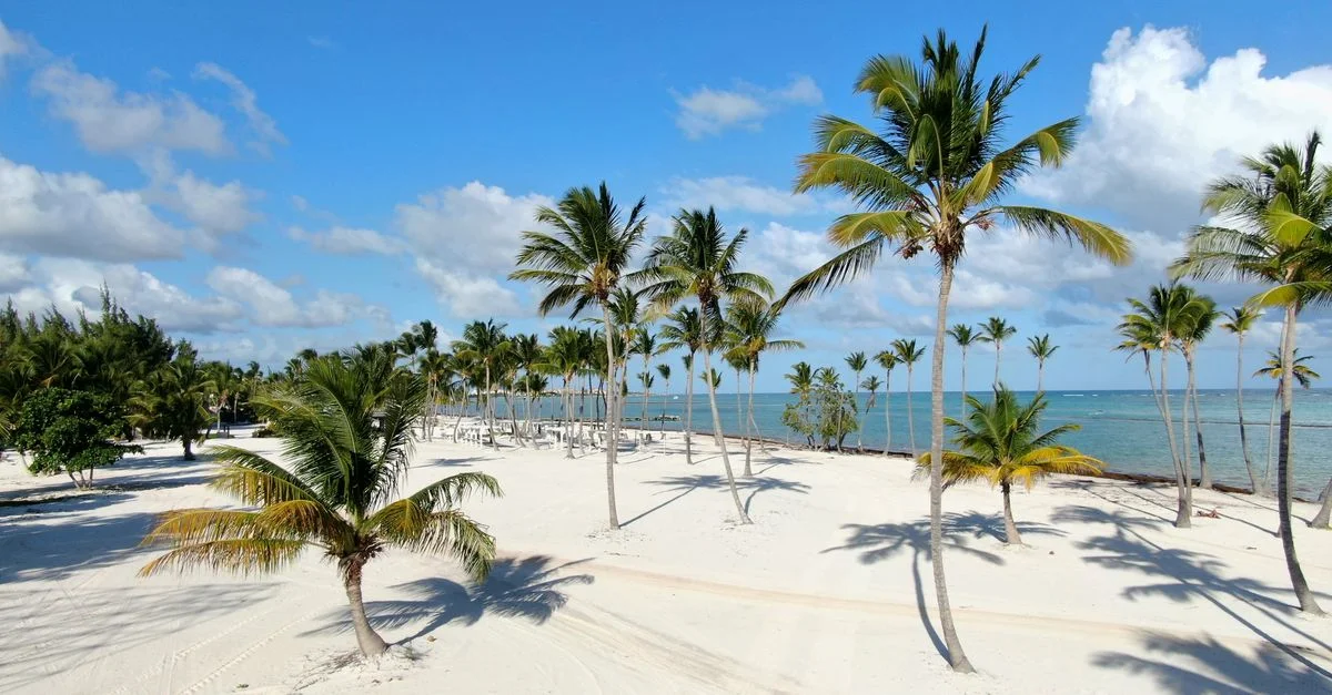 Plage de sable blanc idyllique avec des palmiers sous un ciel bleu clair.