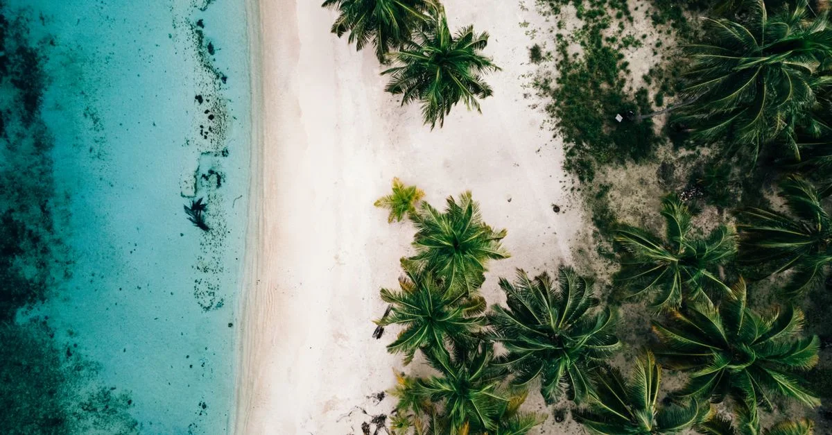 Vue aérienne époustouflante d'une plage tropicale avec des eaux turquoise et des palmiers luxuriants.